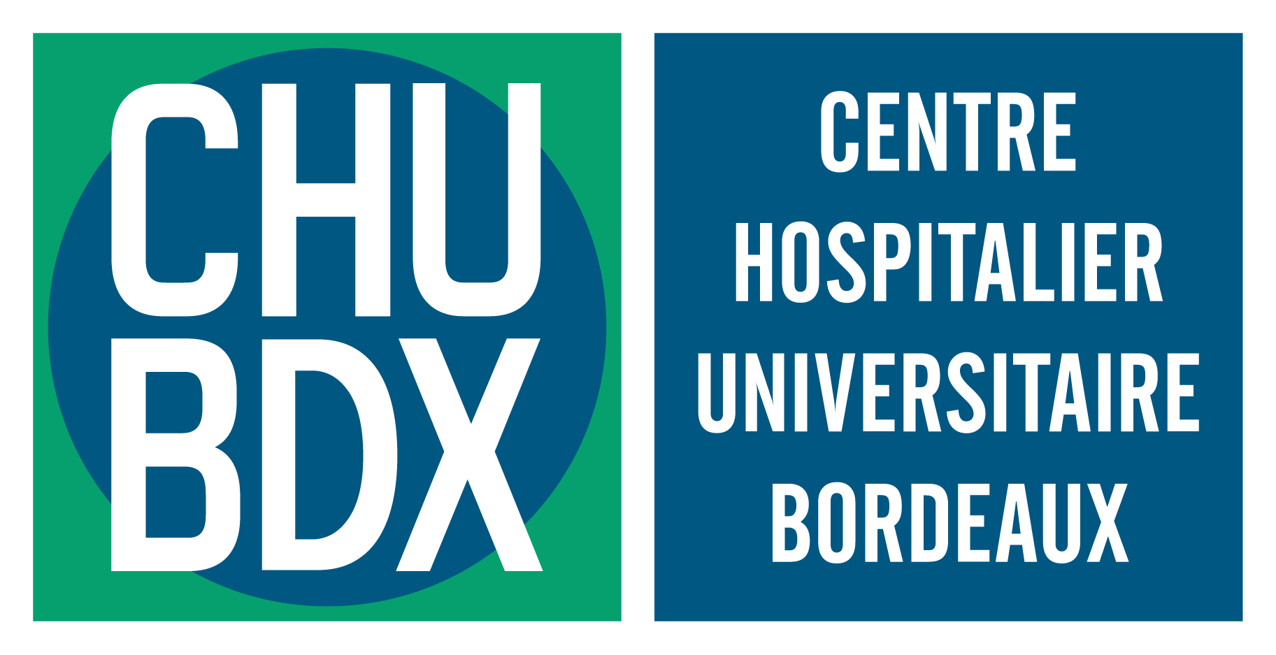Logo Chu Bdx Rvb